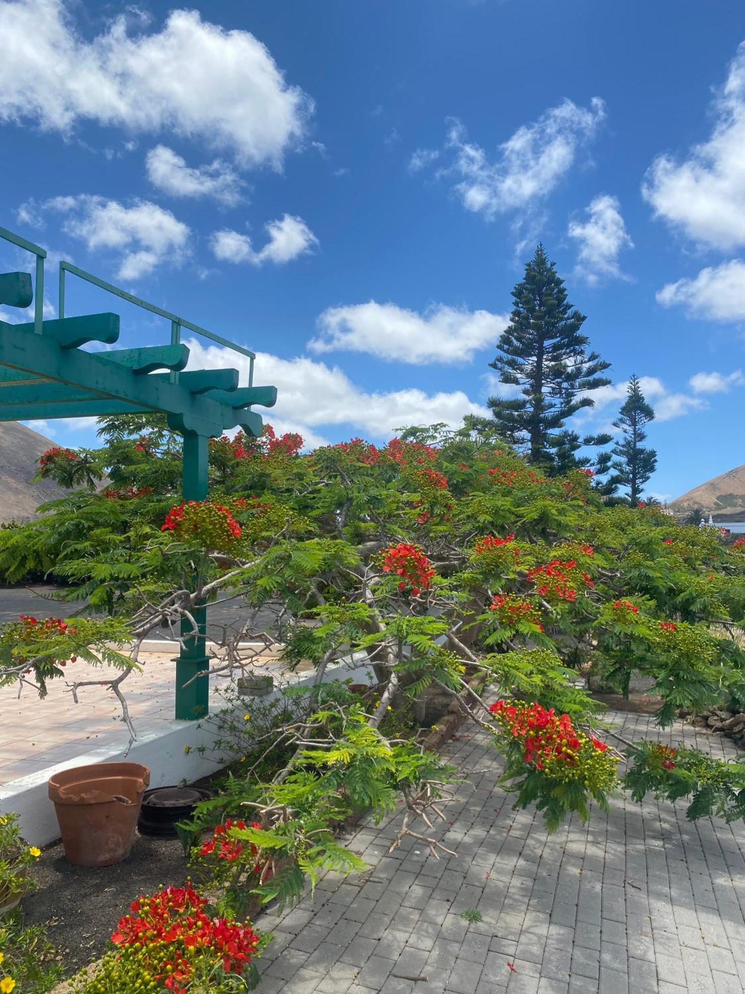 Villa Vegueta 외부 사진